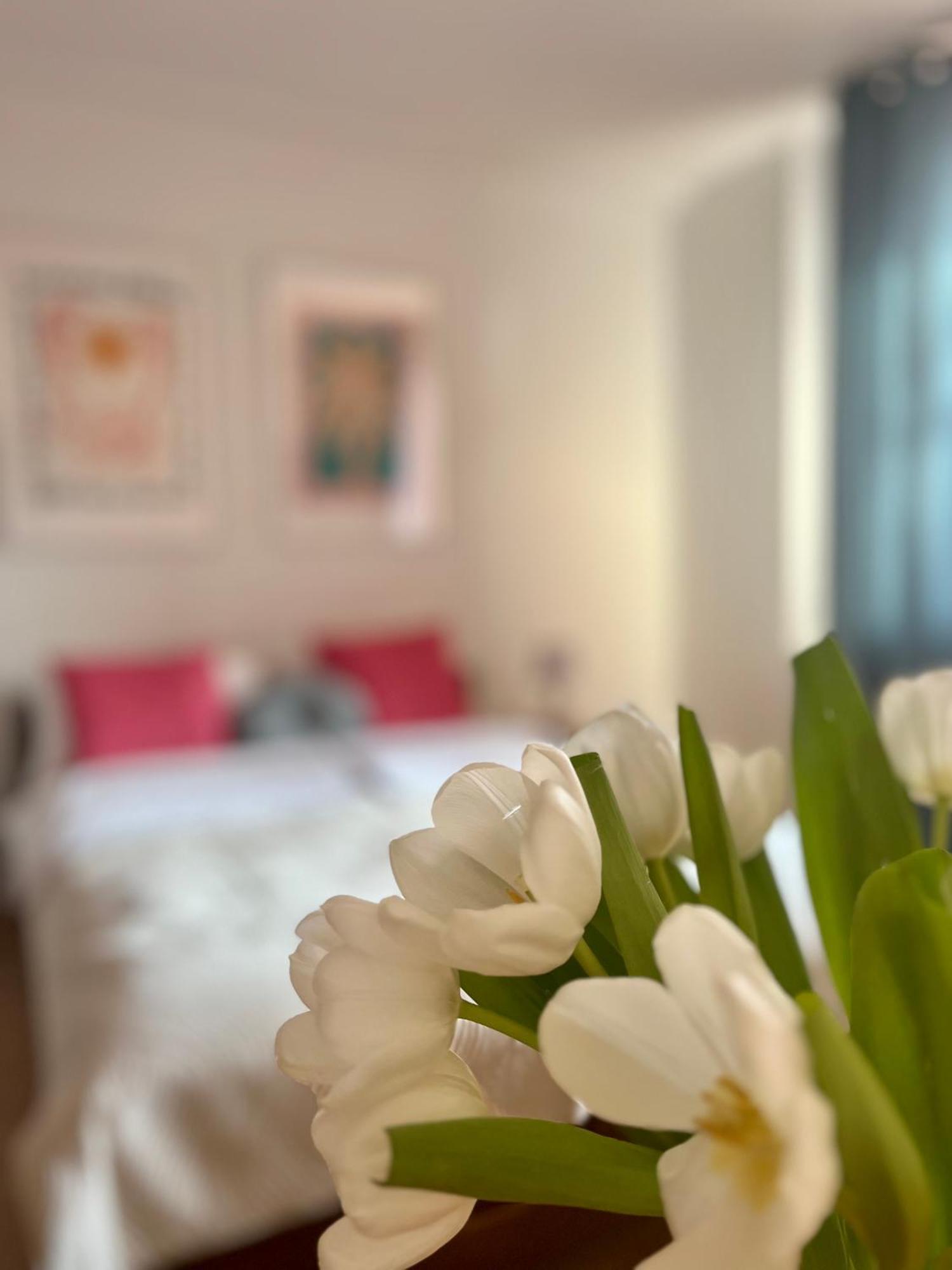 Pensionat Agapella Apartamemty- Agapella 250m From The *